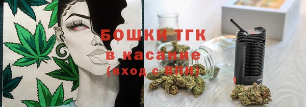 прущая мука Арсеньев