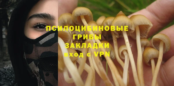 не бодяженный Армянск
