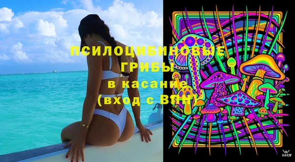 прущая мука Арсеньев